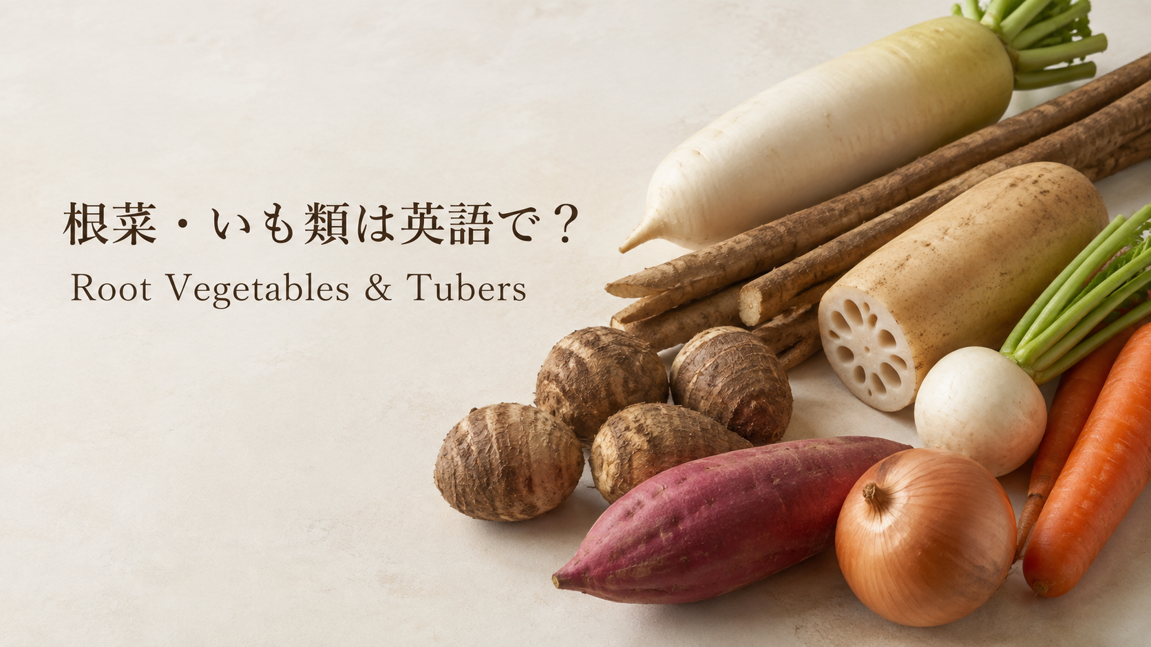 根菜といも類の英語一覧を紹介する中間親記事のアイキャッチ