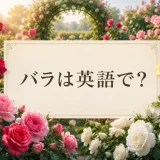 バラは英語でと紹介する赤・ピンク・白・黄色のバラ園