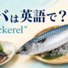 サバは英語でmackerelと伝えるアイキャッチ