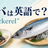 サバは英語でmackerelと伝えるアイキャッチ