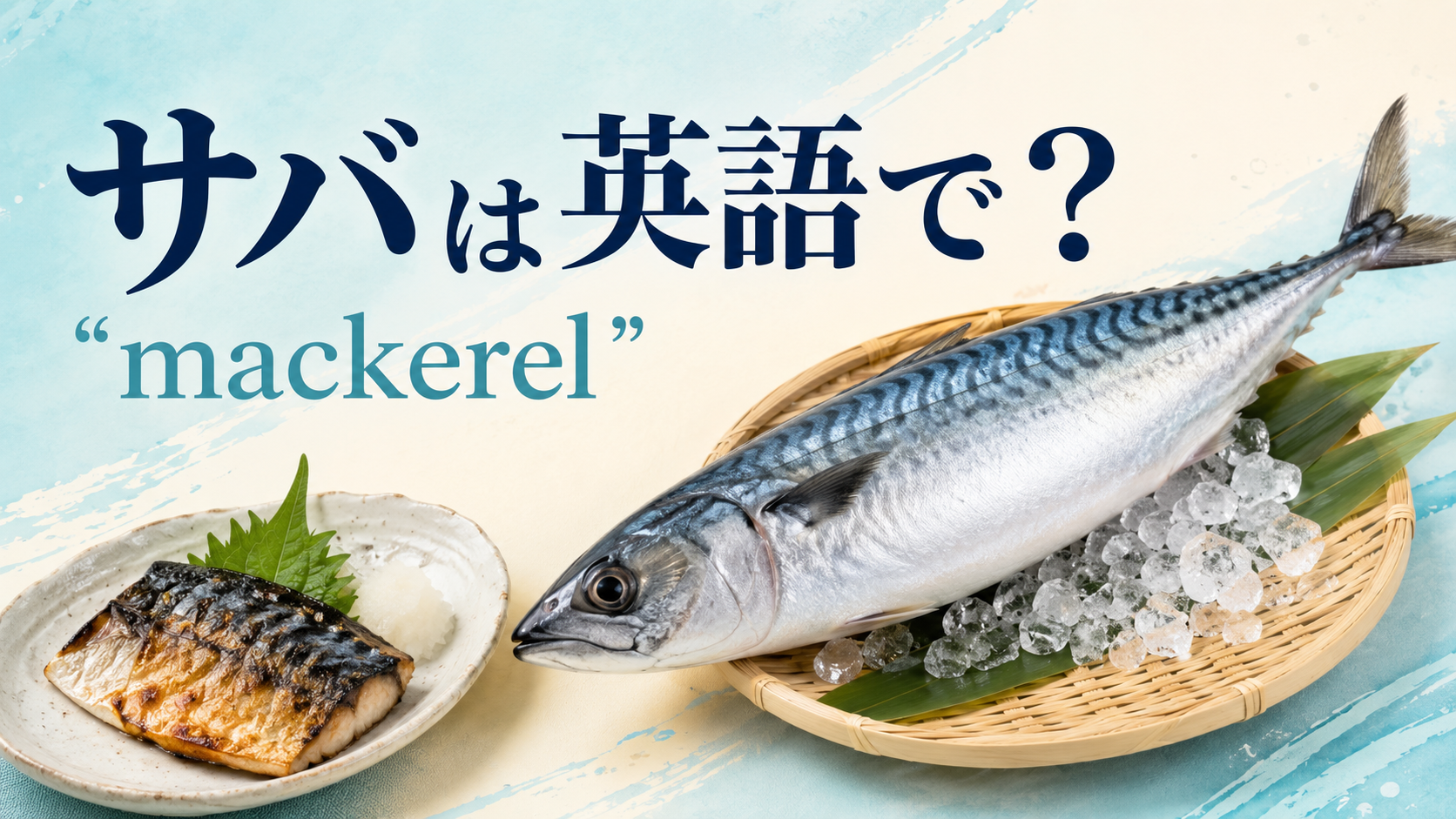 サバは英語でmackerelと伝えるアイキャッチ