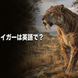 更新世の草原に立つサーベルタイガーと「サーベルタイガーは英語で？」の文字