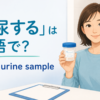 「採尿する」は英語でgive a urine sampleと伝える解説記事のアイキャッチ