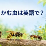 刺す・かむ虫は英語で？蚊・ハチ・アリ・ノミの英語一覧