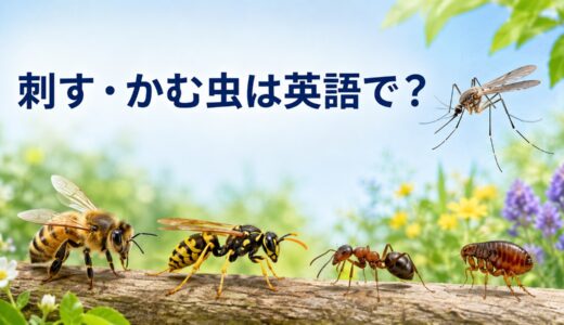 刺す・かむ虫は英語で？bite・stingの違いと蚊・ハチ・ダニなどの一覧