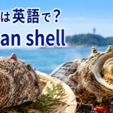 サザエは英語でturban shellと表すことを伝える江の島風アイキャッチ