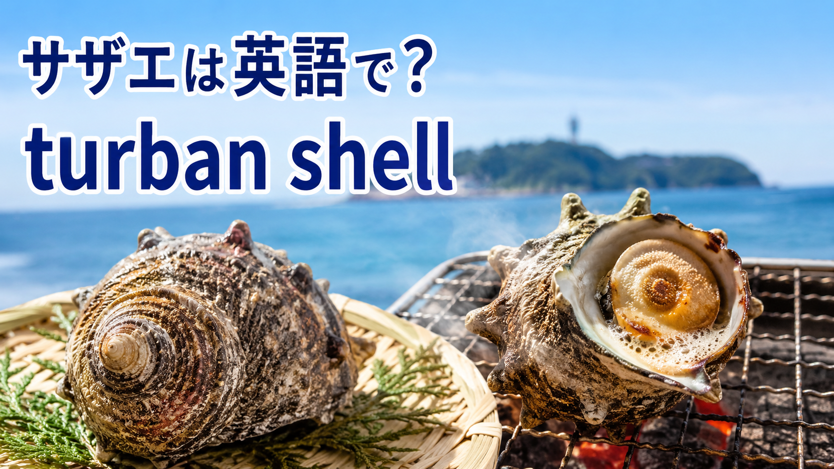 サザエは英語でturban shellと表すことを伝える江の島風アイキャッチ