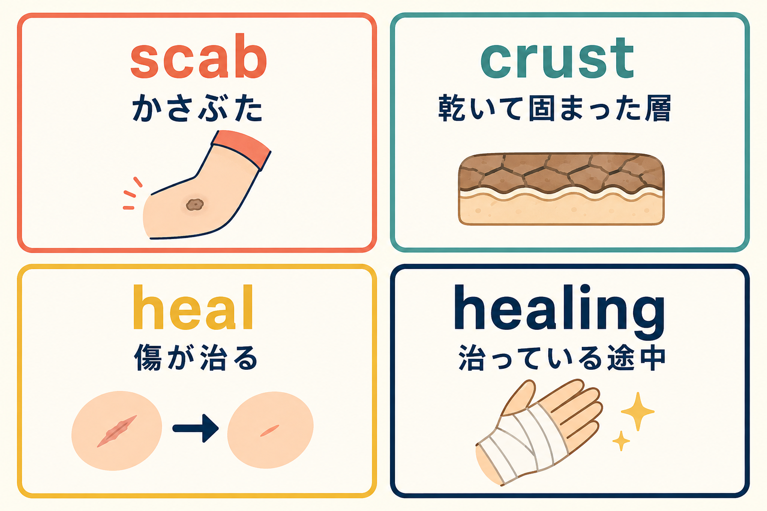 scab、crust、heal、healingの意味を日本語で比較した図