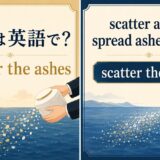 散骨は英語で?scatter the ashesを解説するアイキャッチ