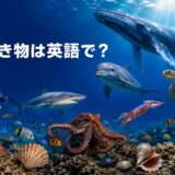クジラ・イルカ・サメ・マンタ・ウミガメ・タコ・イカ・クラゲ・カニ・貝が泳ぐ海と「海の生き物は英語で?」の文字