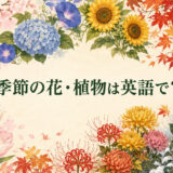 季節の花・植物は英語で?春夏秋冬の花木一覧