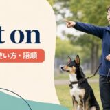 set onの意味・使い方・語順を解説するアイキャッチ画像