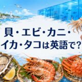 ホタテ・アサリ・牡蠣・エビ・カニ・イカ・タコと「貝・エビ・カニ・イカ・タコは英語で?」の文字