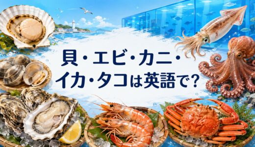 貝・甲殻類・イカ・タコの英語一覧｜shellfish・crustacean・mollusk・cephalopodの違い