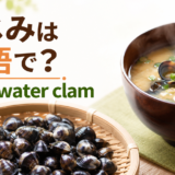 しじみは英語でfreshwater clamと表すことを伝えるアイキャッチ