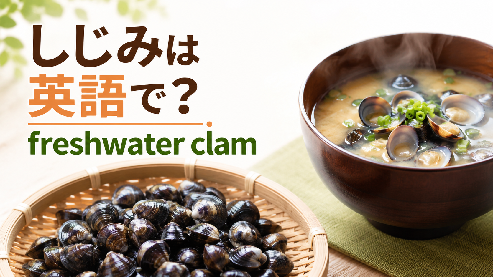 しじみは英語でfreshwater clamと表すことを伝えるアイキャッチ