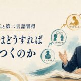 白井恭弘の第二言語習得研究を表すイラスト