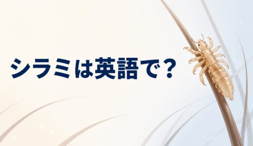 シラミは英語で？louse・liceの発音と複数形、nitとの違いを解説