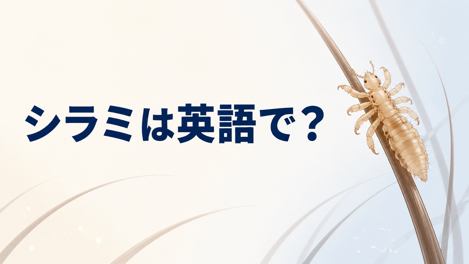 シラミは英語で？louse・liceの発音と複数形、nitとの違いを解説