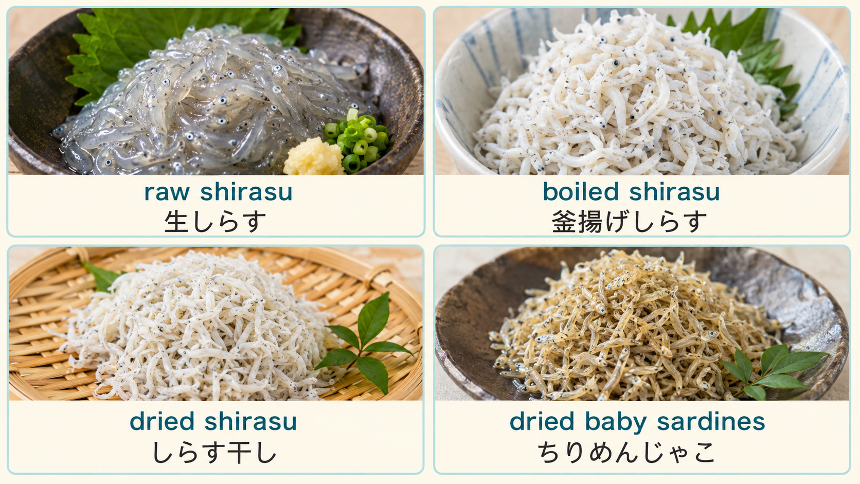 しらすの加工方法による違いと英語表現