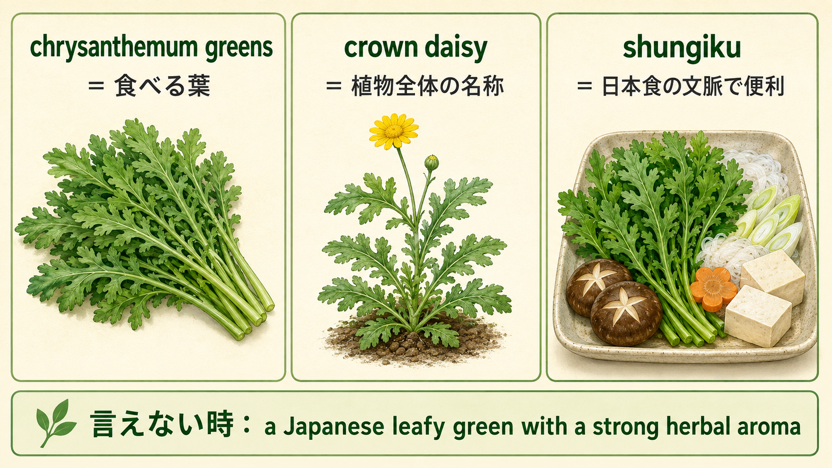 chrysanthemum greens、crown daisy、shungikuの違いと言い換え
