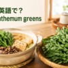 春菊は英語でchrysanthemum greensと伝えるアイキャッチ