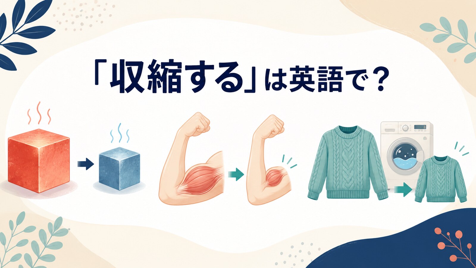 「収縮する」は英語で？contract・shrink・tighten・decreaseの違い