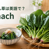 ほうれん草は英語でspinachと伝えるアイキャッチ