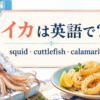 イカは英語で？squid・cuttlefish・calamariの違い
