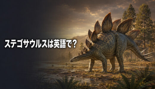 ステゴサウルスは英語で？Stegosaurusの発音・名前の意味と背中のプレート