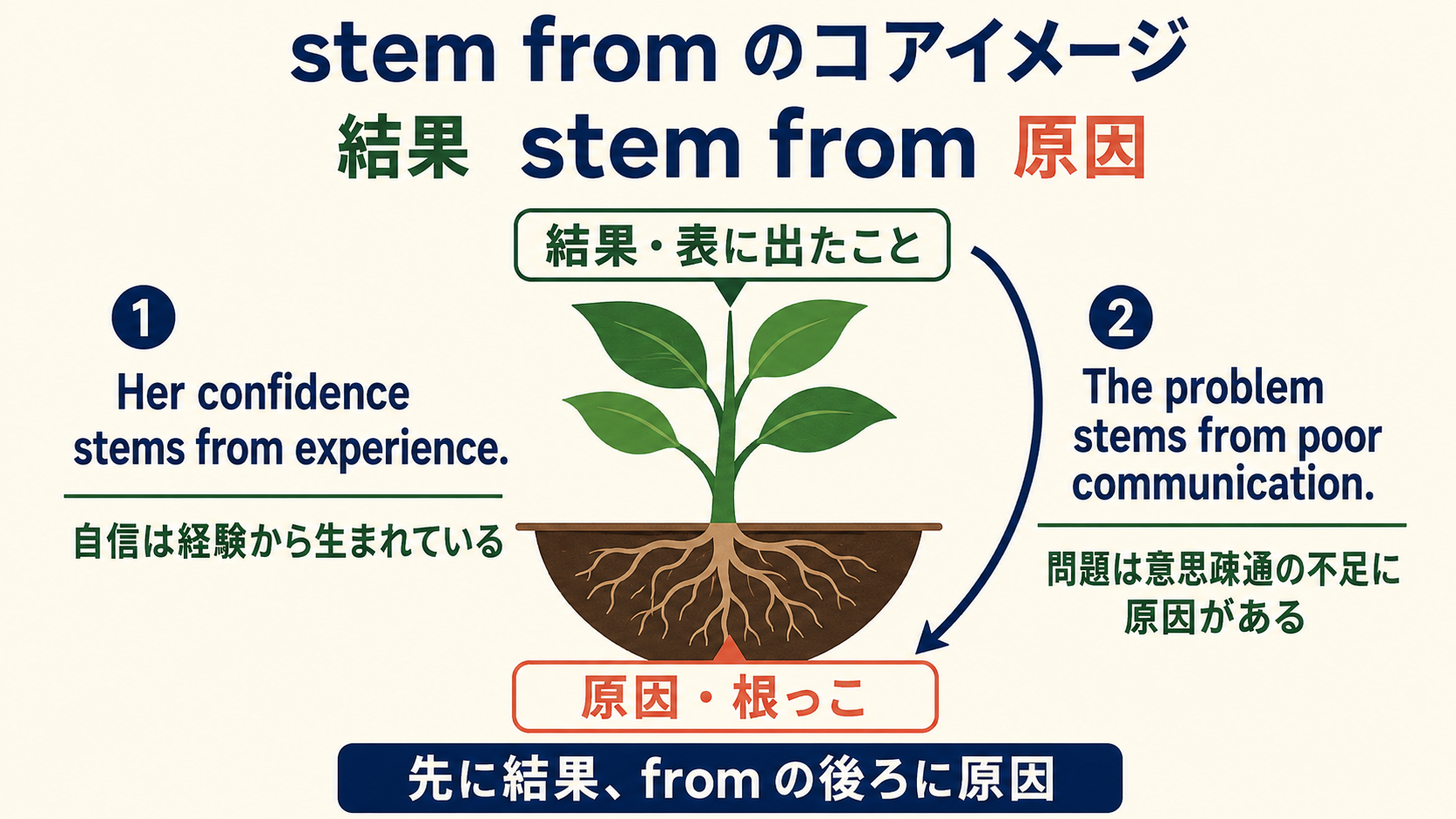 結果 stem from 原因の語順と根から生じるコアイメージ