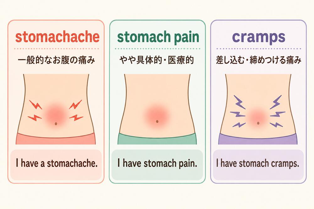 stomachache・stomach pain・stomach crampsの違いを示す比較イラスト