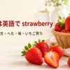 赤いいちごと「いちごは英語で strawberry」「複数形・数え方・へた・味・いちご狩り」の文字