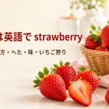 赤いいちごと「いちごは英語で strawberry」「複数形・数え方・へた・味・いちご狩り」の文字