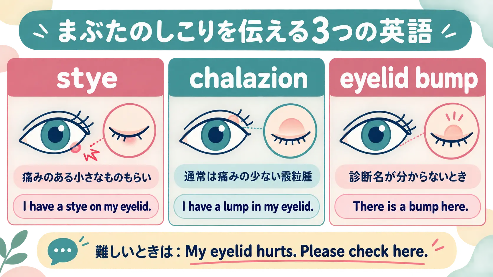 stye・chalazion・eyelid bumpの違いと例文を整理した図解