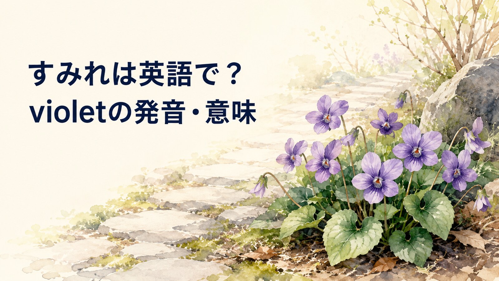 すみれは英語で？violetの発音・意味、Violaとの違いと日本文化の説明