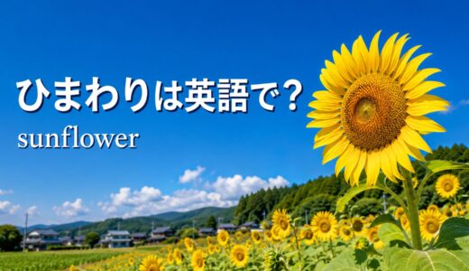 ひまわりは英語で？sunflowerの意味・発音と花言葉、夏の例文