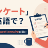 アンケートは英語で？surveyとquestionnaireの違い