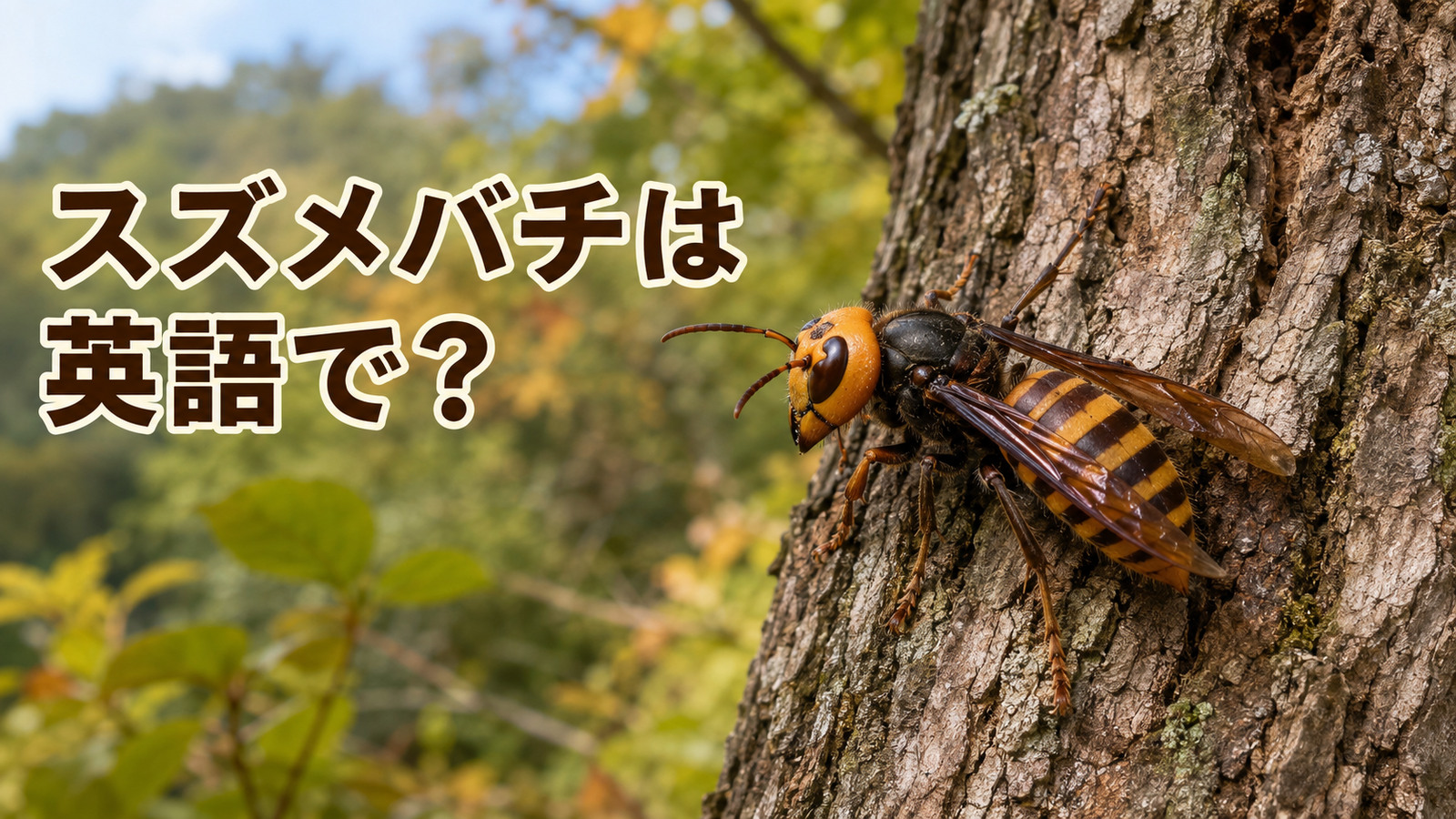 スズメバチは英語で？hornetの発音・waspとの違いとオオスズメバチの呼び方