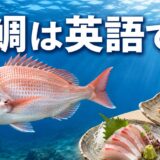 海を泳ぐマダイと鯛の刺身・塩焼き、「鯛は英語で？」の文字