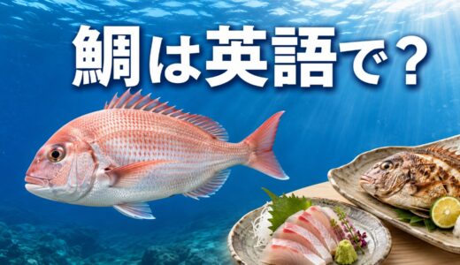 鯛は英語で？sea bream・red sea bream・snapperの違いと料理表現