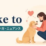 女性が犬をすぐ好きになるtake toのイメージ