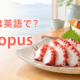 タコは英語でoctopusと伝えるアイキャッチ