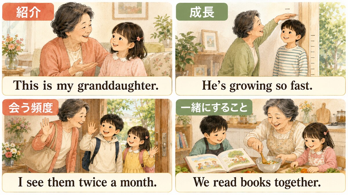 孫の紹介・成長・会う頻度・一緒にすることを表す簡単英語