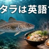 海を泳ぐマダラとタラ鍋・フィッシュ&チップス、「タラは英語で?」の文字
