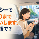 タクシーで「〇〇までお願いします」は英語で？運転手にスマホの地図を見せる旅行者