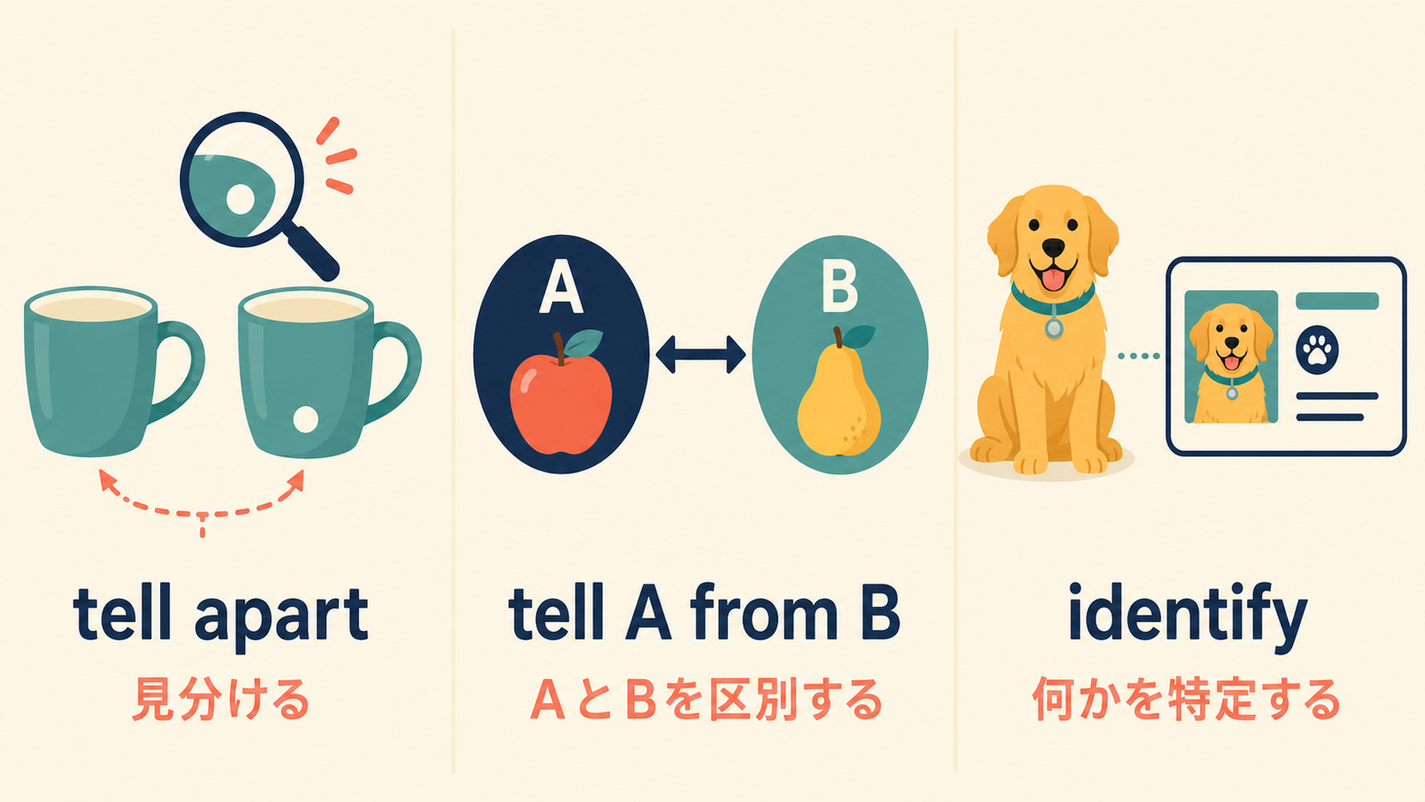 tell apart、tell A from B、identifyの意味とニュアンスを比較したイラスト