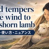 tempered wind featured