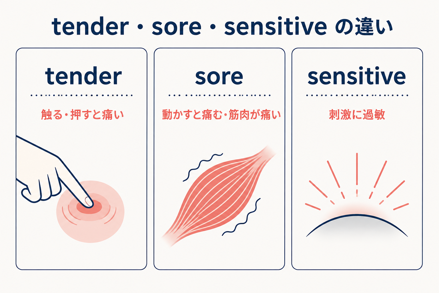 tenderは触ると痛い、soreは動かすと痛む、sensitiveは刺激に過敏を表す比較図