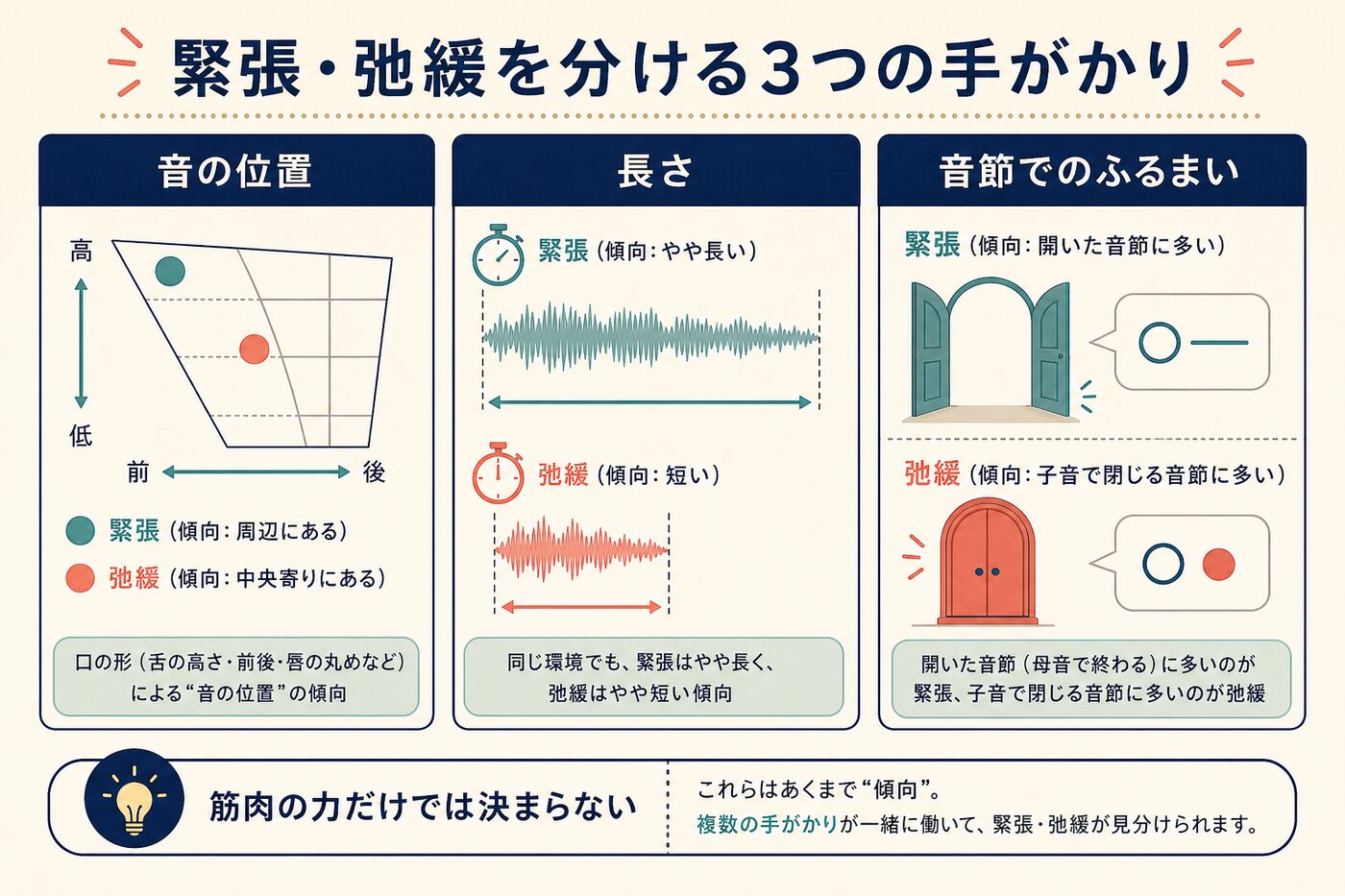 緊張母音と弛緩母音を音の位置・長さ・音節でのふるまいから比較した図